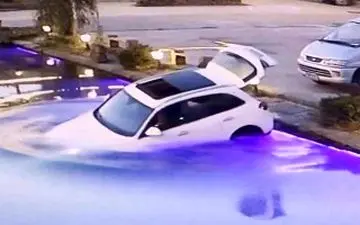 سگی که ماشین صاحبش را غرق کرد 