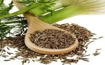 از خواص بی نظیر رازیانه بیشتر بدانید