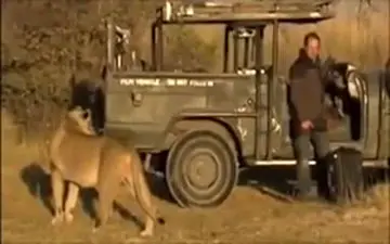 لحظه‌ای نفس گیر برای فیلمبردار حیات وحش + فیلم 