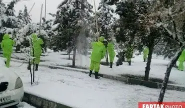 آماده باش مناطق ٢٢ گانه شهرداری تهران در پی بارش برف 