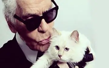 ثروتمندترین گربه دنیا! + فیلم