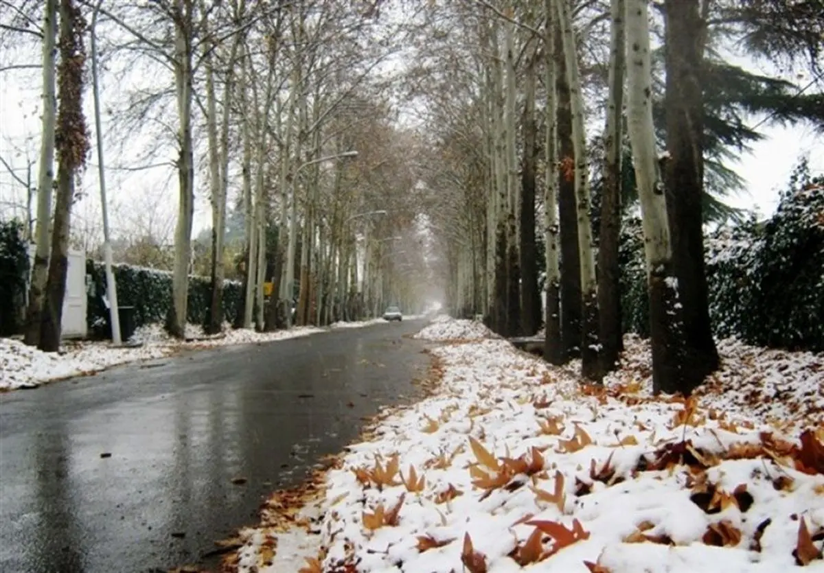 هواشناسی ایران ۱۴۰۲/۱۰/۰۶؛ آغاز بارش باران و برف در برخی استان‌ها از فردا/ کاهش محسوس دما در نیمه شمالی کشور 