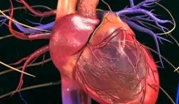 تشخیص سلامت قلب با یک تست ساده | در ۶۰ ثانیه سلامت قلبتان‌ را بسنجید 
