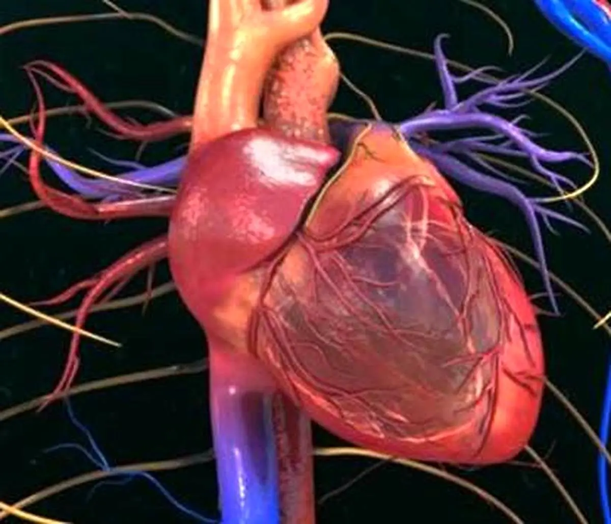 تشخیص سلامت قلب با یک تست ساده | در ۶۰ ثانیه سلامت قلبتان‌ را بسنجید 