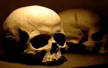 کشف جمجمه یک انسان در خیابان جانباز مشهد