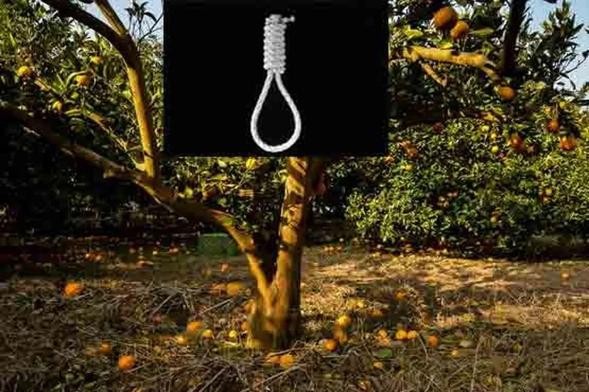  خودکشی نافرجام در باغ پرتقال/مرد با کمک تکنسین‌های اورژانس به زندگی بازگشت!