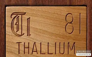  قتل همسر و مادرزن به شیوه صدام حسین