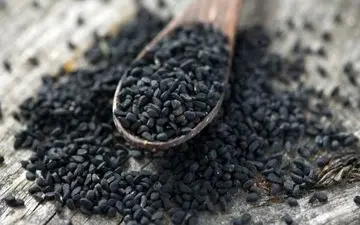 خواص درمانی سیاه دانه | این دردها را با سیاه دانه درمان کنید