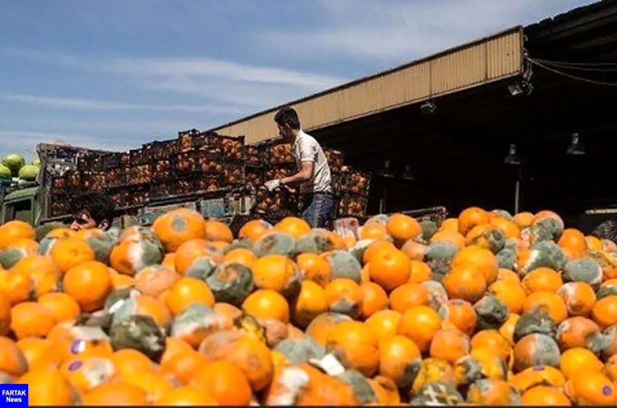 قیمت پرتقال شب عید در استان مبدا ۱۰ هزار و ۵۰۰ تومان تعیین شد