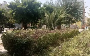 سالم‌سازی فضای بوستان شهید دیالمه در منطقه 12