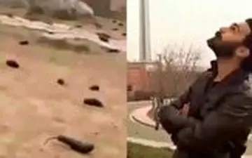 صحبت‌های جالب جوانی که عامل باران بادمجانی بود!