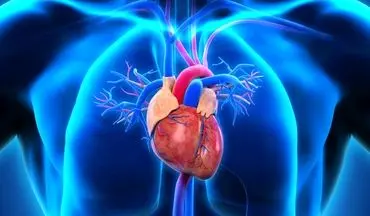 علائم و راه های پیشگیری از بیماری های قلبی!