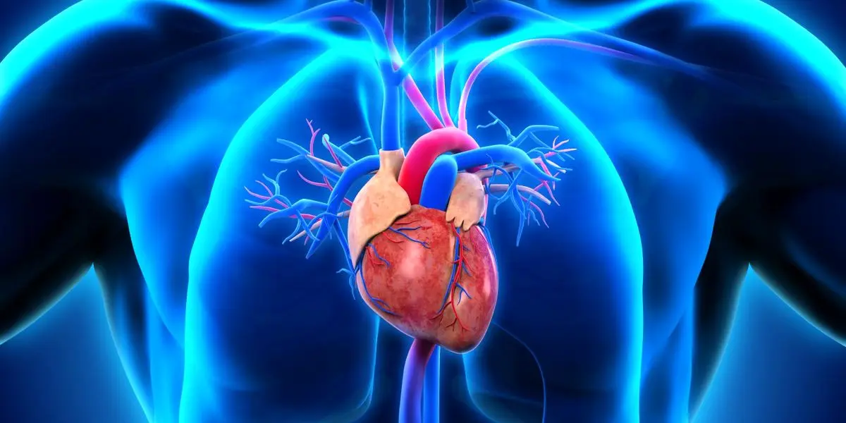 علائم و راه های پیشگیری از بیماری های قلبی!