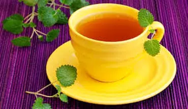 آشنایی با چای بادرنجبویه و چای رویبوس از منظر طب سنتی