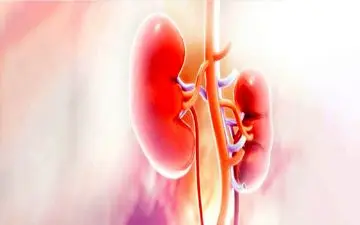 برای نابود کردن کلیه هایتان این خوراکی ها را بخورید 