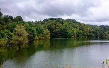 برکه زیبا در دل جنگل‌‌های "باغ گلبن" + فیلم 