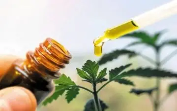 با این گیاهان هورمون‌های بدن را تنظیم کنید