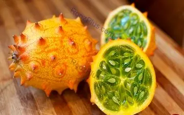 این خیار عجیب در آفریقا پیدا می شود+ عکس