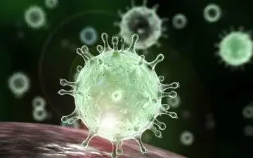 با رعایت ایمنی مواد غذایی به جنگ بیماری ویروسی کرونا برویم