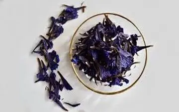  گل گاو زبان ایرانی یا خارجی؟