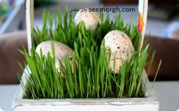  سبزه عیدتو اینطوری تزیین کن تا متفاوت باشی