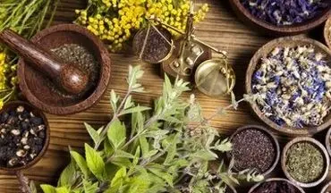 ۳ گیاه که معده را آرام می‌کند