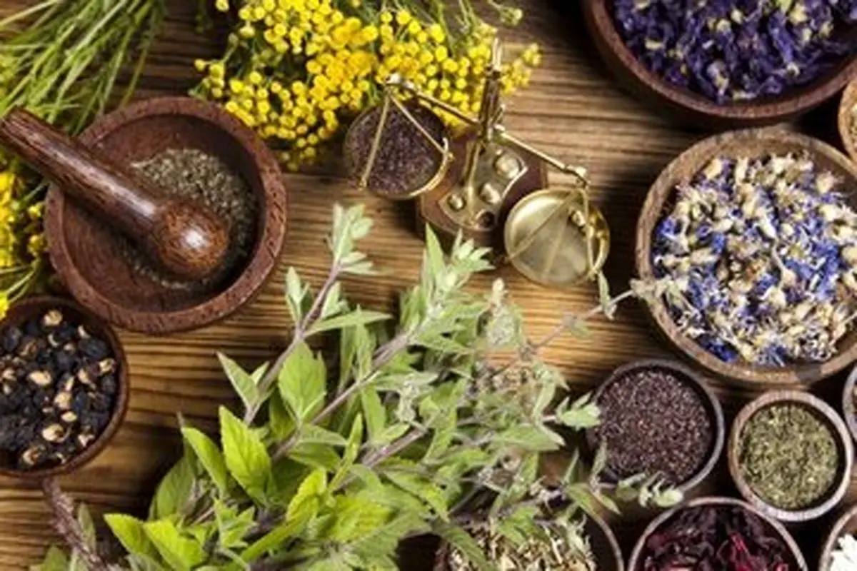 ۳ گیاه که معده را آرام میکند