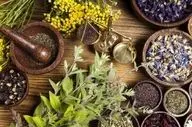 ۳ گیاه که معده را آرام می‌کند