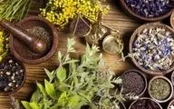 ۳ گیاه که معده را آرام می‌کند