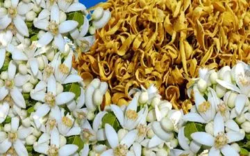 بهار نارنج و خواص آن را بیشتر بشناسیم