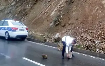 بالا بودن احتمال ریزش و رانش در محورهای شمال