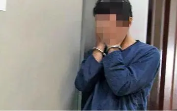 شگرد عجیب سارق حرفه‌ای برای سرقت خودروهای دولتی با کمک جرثقیل