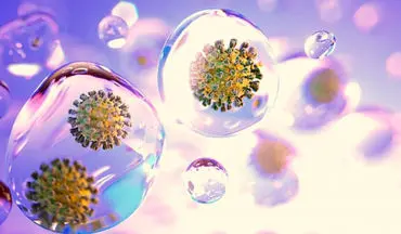 دو نوع جدید از ویروس کرونا در آمریکا شناسایی شد