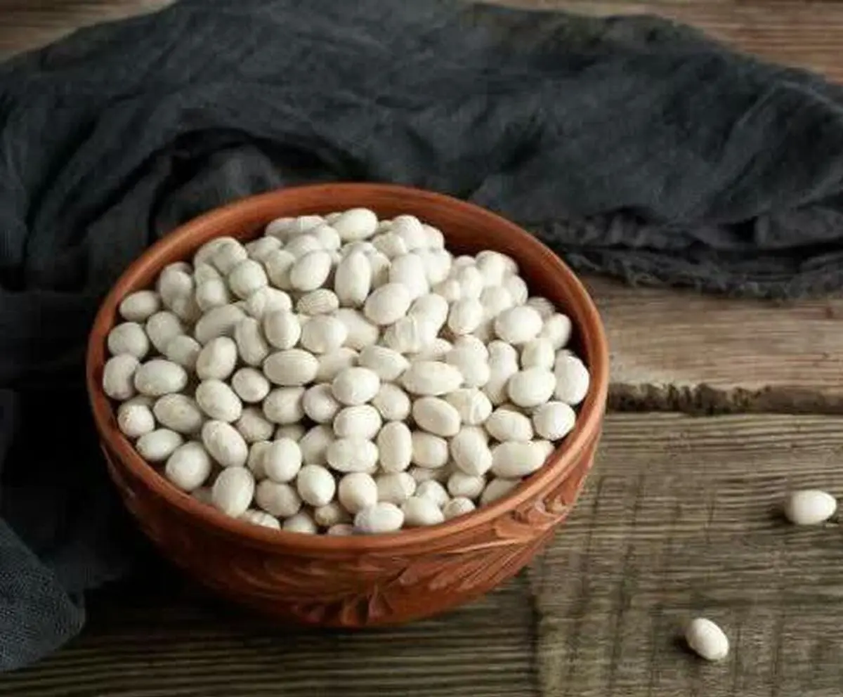 لوبیا سفید، گوشت بدون استخوانی با خواص اعجاب‌انگیز