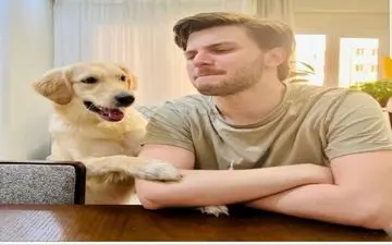 دارا حیایی با این عکسی عجیب و متنی احساسی پیداش شد | دارا حیایی عاشق شده است
