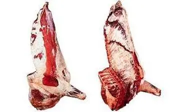 آیا در تهران فوتی تب کریمه کنگو داشتیم؟! 