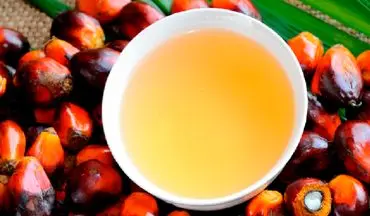 روغن پالم باعث بالاتر رفتن سطح کلسترول خون می‌شود؟