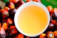 روغن پالم باعث بالاتر رفتن سطح کلسترول خون می‌شود؟