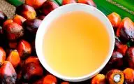 روغن پالم باعث بالاتر رفتن سطح کلسترول خون می‌شود؟