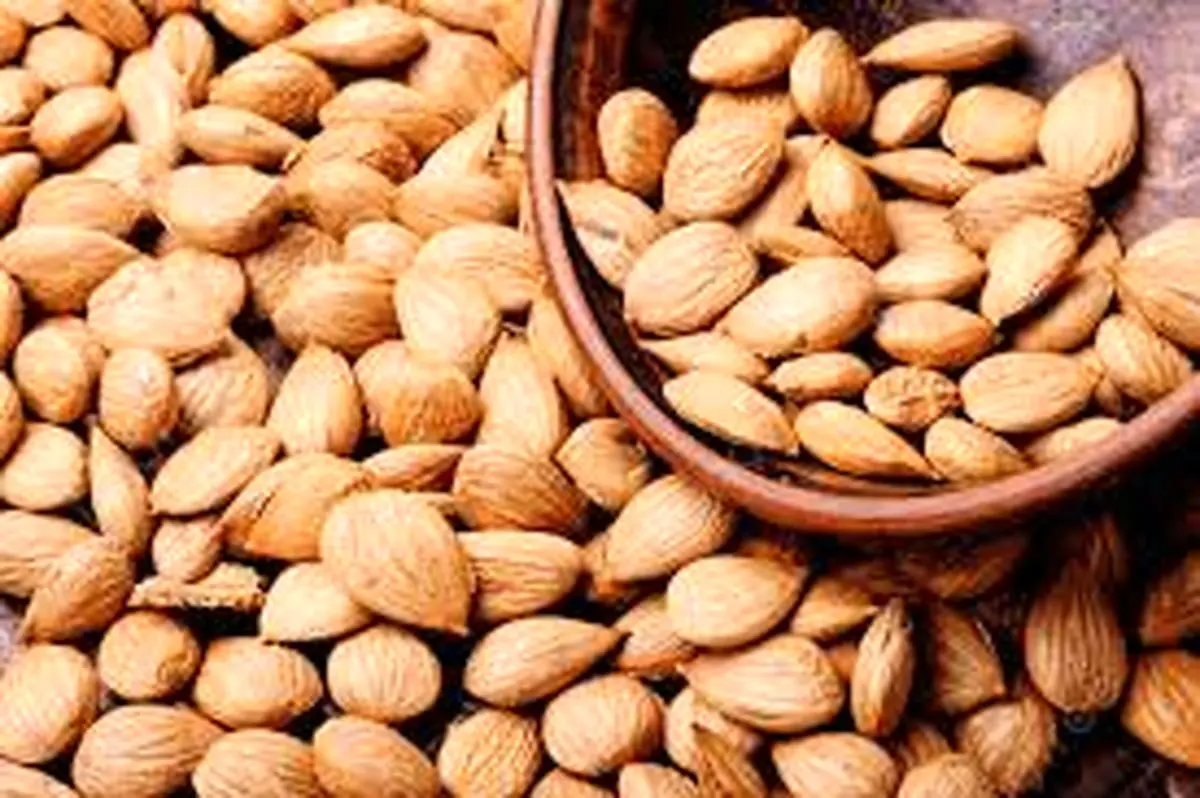   خواص هسته زردآلو| حتما بخوانید 