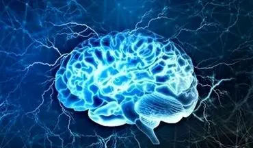 سوختِ مغزتان را تأمین کنید/ با این روغن‌ها، هوشتان را ۱۰۰ برابر کنید!