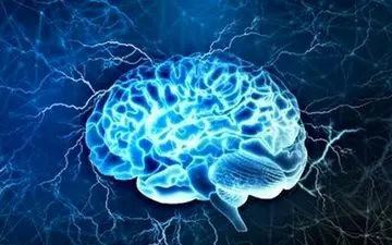 سوختِ مغزتان را تأمین کنید/ با این روغن‌ها، هوشتان را ۱۰۰ برابر کنید!