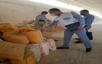 کشف بیش از 40 تن گندم از یک کارخانه خوراک دام در شهرستان کرمانشاه