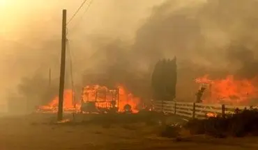 آتش در قلب شیلی؛ آتش‌سوزی‌ مهیب در شیلی | فیلم