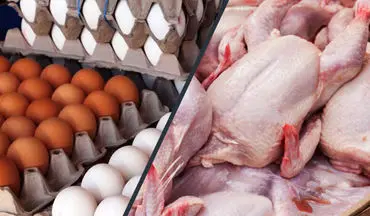 قیمت جدید مرغ و تخم مرغ و بلدرچین در بازار | هر کیلو فیله مرغ چند؟