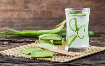 
این گیاه به خوبی چربی‌ها را آب می کند