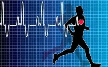 ورزش در سلامت مغز و قلب موثر است؟

