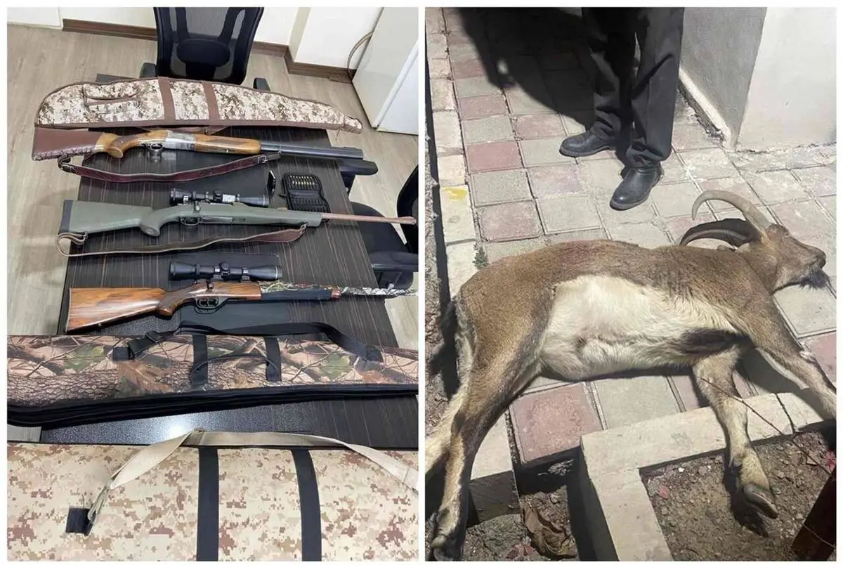 شکارچیان غیرمجاز در مهران به دام افتادند