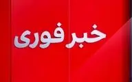 ورود اولین دسته از پهپادهای ایران به سرزمین‌های اشغالی و واکنش شهرک نشینان صهیونیست! + ویدئو
