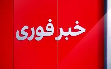 ورود اولین دسته از پهپادهای ایران به سرزمین‌های اشغالی و واکنش شهرک نشینان صهیونیست! + ویدئو